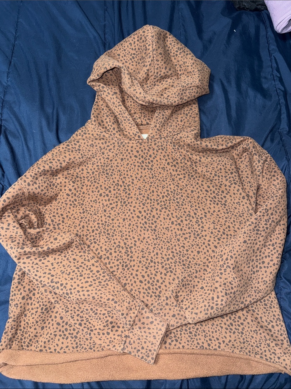 Abercrombie & Fitch Leopard-Print Pullover in Tan and Black